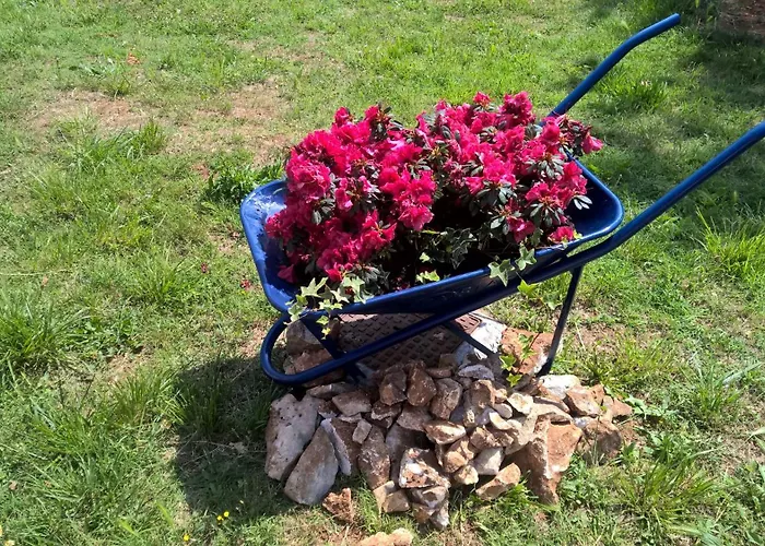 Porta Anna Appartement