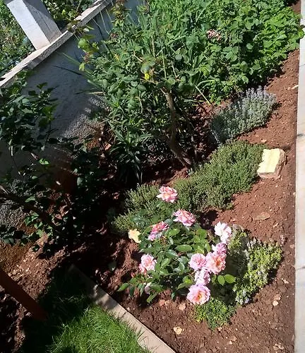 Porta Anna * Medulin